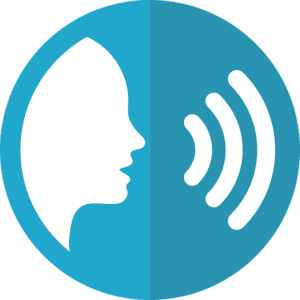 SEO Voice Search